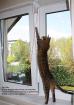 Kippfensterschutz für Katzen, ohne das Fenster zu beschädigen